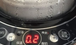 电炖盅使用方法视频,视频教程详解使用方法